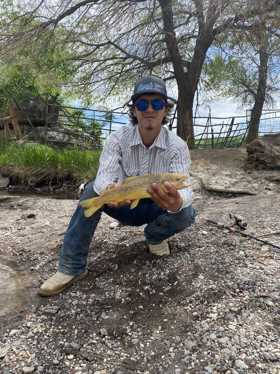 Pearl snaps and brown river trout cmon