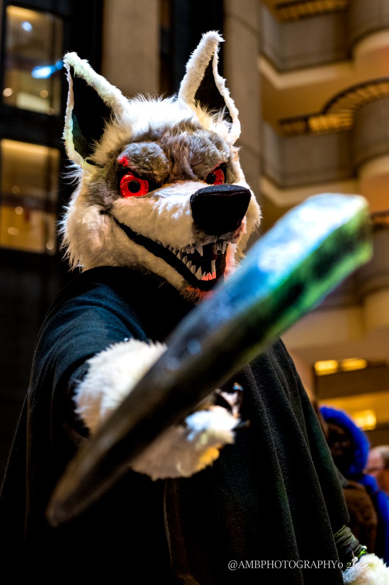 AMBPhotography0's tweet photo. For those that dont know, I have a specific place to put all the fursuit photos I take. Head over to FurTrack to see everything from #FWA2023 

https://t.co/SvuKn4tmfe https://t.co/QmhWAK1SZe