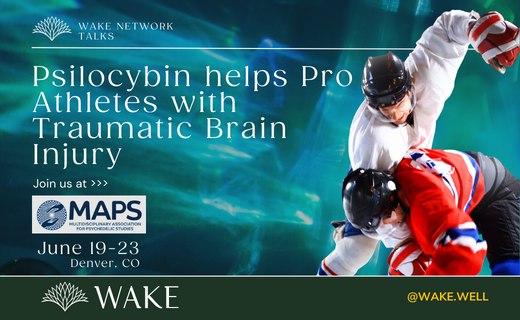 Wake Network tweet media