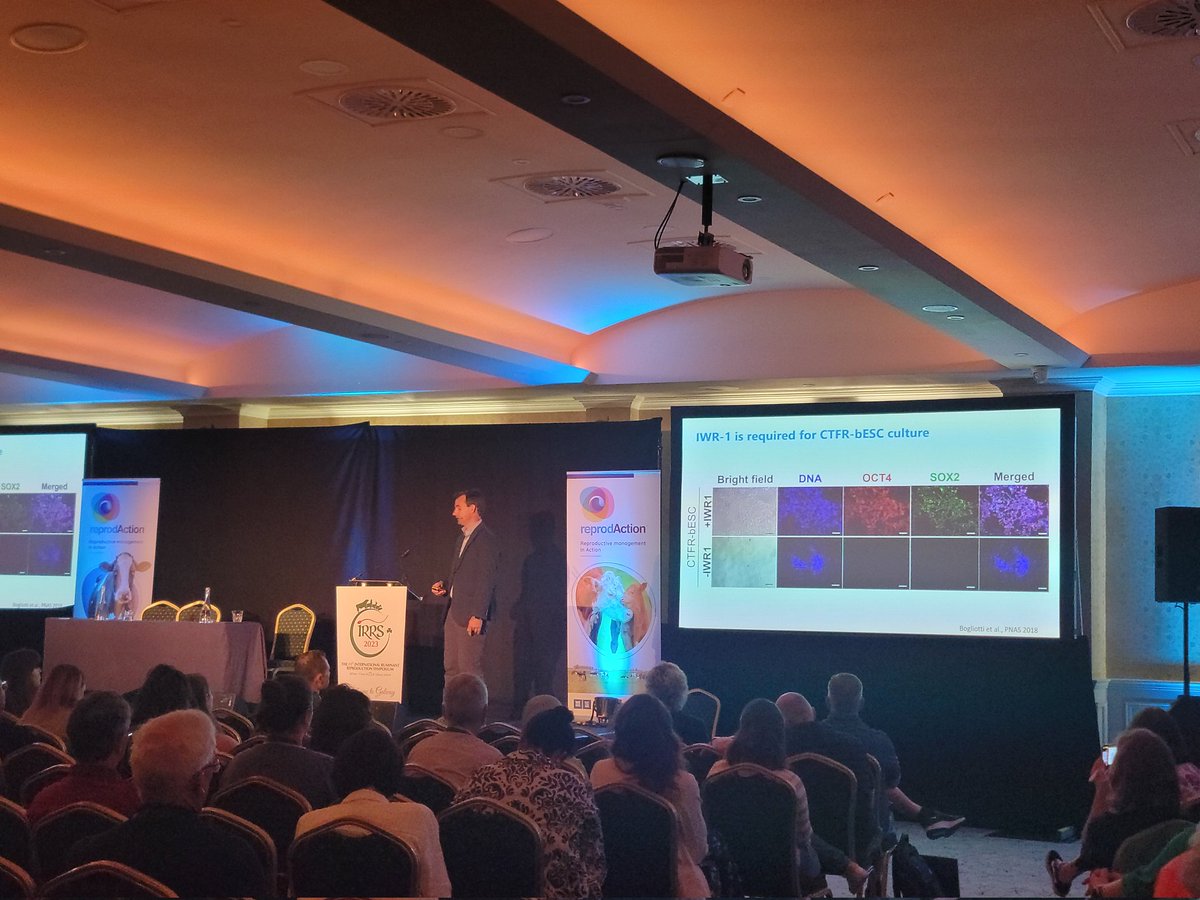 Sofía Ortega tweet media