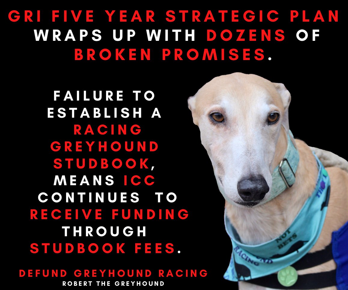 Broken Promises all round for Greyhound Racing Ireland who FAILED to produce its own #RacingGreyhoubd Studbook, meaning they still rely on the Irish #Coursing Club studbook, paying fees that prop up the #bloodsport of #HareCoursing. Well past time both 'sports' were banned.
