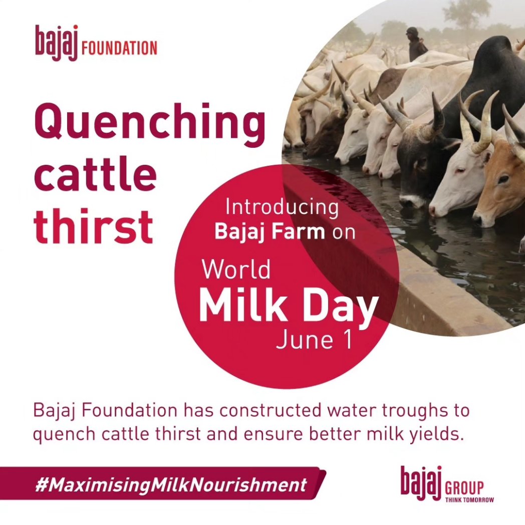 A healthy #cattle is the base to #MaximisingMilkNourishment and to provide us with #sustainable #benefits in the coming years.

#worldmilkday #cattlewelfare #bajajfoundation #empoweringvillages #enrichinglives #fulfillingdreams #bajajgroup #thinktomorrow