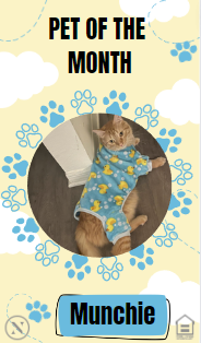 AshlarFl's tweet photo. Say hello to Munchie! The Ashlar Fur Baby of the Month!  

#WeLoveOurPetResidents #petfriendly #FortMyersPets
#LoveWhereYouLive #WeLoveOurResidents #Summertime #Community #WelcomeHome #Comfort #Lifestyle #TheAshlar #FortMyers https://t.co/FXhxJ1NWyi