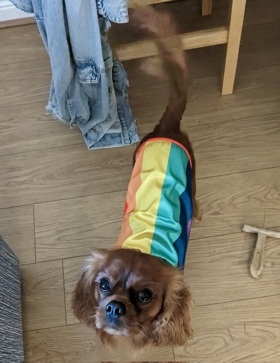 mwait13's tweet image. Happy pride!