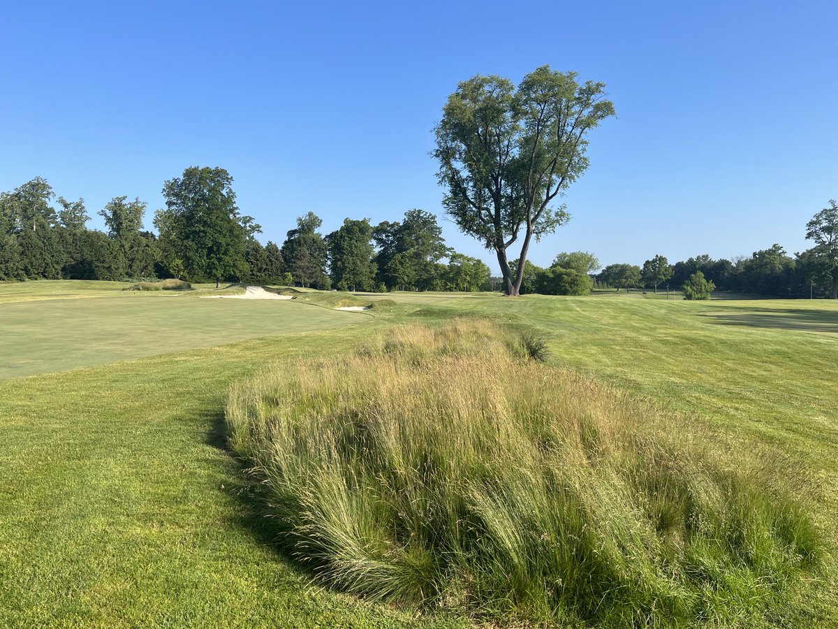 Brendan J Byrne (@brendanjbyrne01) on Twitter photo Easy to be “down and brown” in this weather! Maybe it will rain again by July. <a href="/LlanerchCC/">Llanerch Country Club</a> Easy to be “down and brown” in this weather! Maybe it will rain again by July. <a href="/LlanerchCC/">Llanerch Country Club</a>