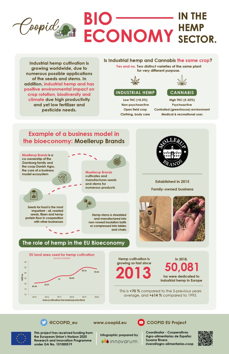 COOPID_eu's tweet photo. #COOPIDBioeconomyWeek Day 4๏ธโฃ Today we highlight the role of the #HempSector in the #bioeconomy ๐@foodbiodk
#COOPIDshowcaseDENMARK
#Infographic โฌhttps://t.co/8aRbHJMVRA
@CoopsAgroES @innovarum_ @UniboMagazine @Gaia_Brussels @Gaia_Epixeirein @foodbiodk @ProAgria @MTU_ie #Hemp https://t.co/rZDBl9MpCU