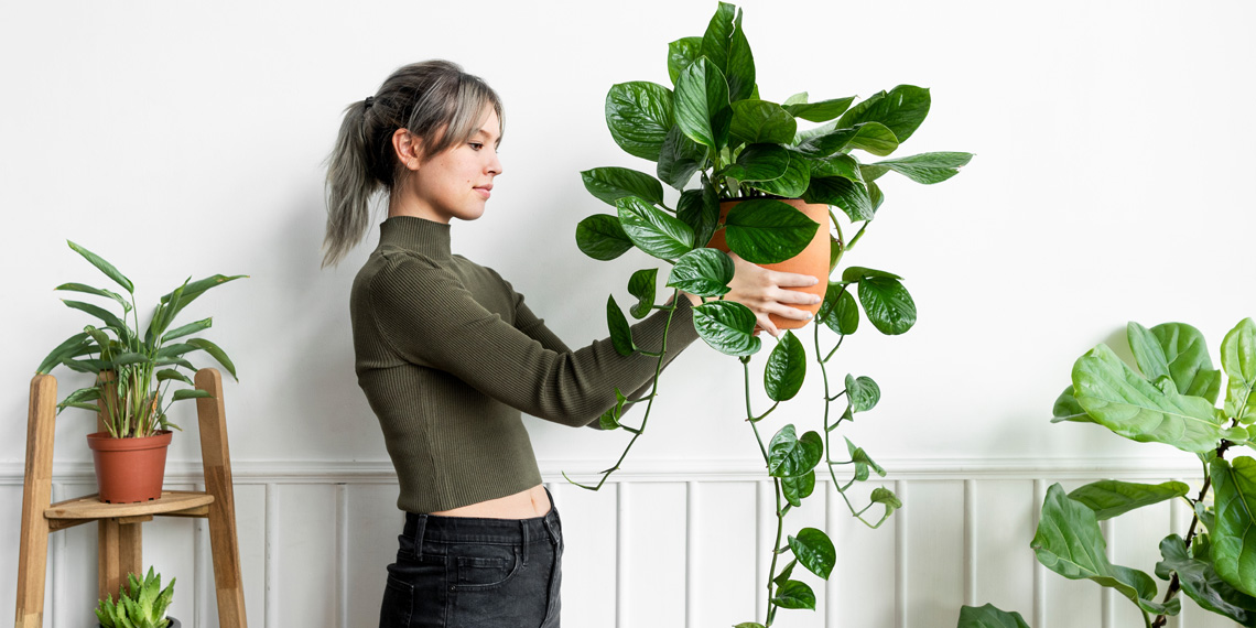 Owning houseplants can boost your mental health – here’s how to pick the right one. Houseplants have been linked to reducing stress, lowering blood pressure and  improving your state of mind.buff.ly/42dX6dW #mentalhealth #addictionrecovery #addictionprevention