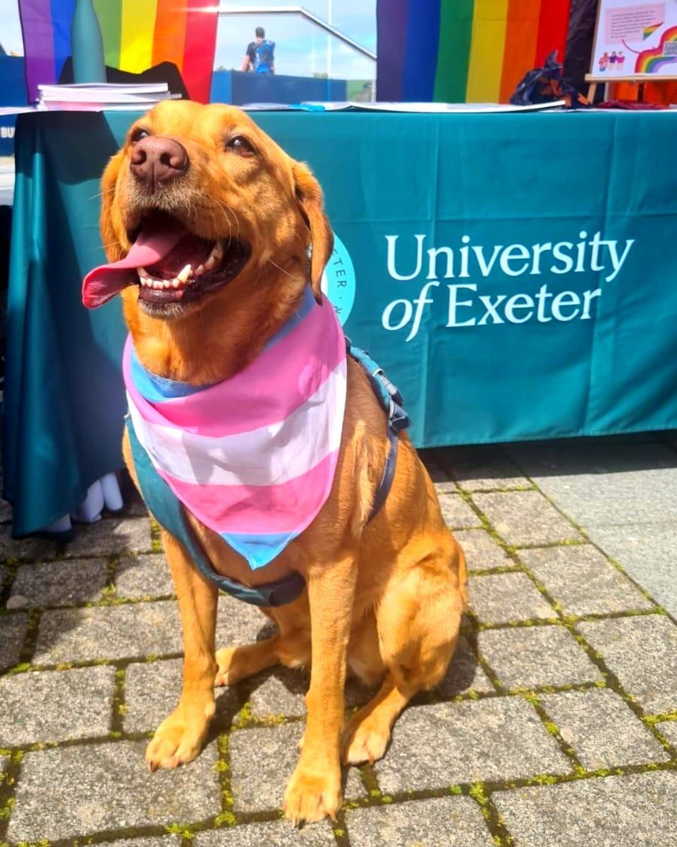 We're celebrating Pride 2023 🏳️‍🌈 Eleven Community Pride events are taking place across Cornwall this spring and summer and we are proud to be supporting them. 
Find out more here 👉 bit.ly/3qjXH0A <a href="/CornwallPride/">Cornwall Pride 〓〓</a> #Pride #Pride2023