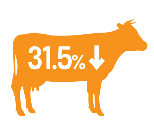 Looking to mitigate and reduce #GHGemissions on farm?
Take a look at CIEL's #dairy fact sheet to learn how to reduce emissions by up to 31.5% on #farm.
👉 ow.ly/Ig6q50OBEUC

#GHG #NetZero #Emissions #WorldDairyDay