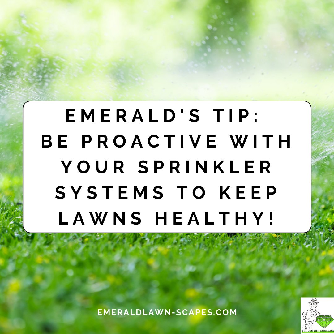 Don't wait until those brown patches appear- stay on top of watering your lawn to keep it looking its best and prevent it from drying out.

#WaterAlert #SprinklerSystem #SummerLawnCare #EmeraldLawnNJ #EmeraldLawnScapes #NJLawnCare #NJLandscaper #MorrisCounty #BoontonNJ
