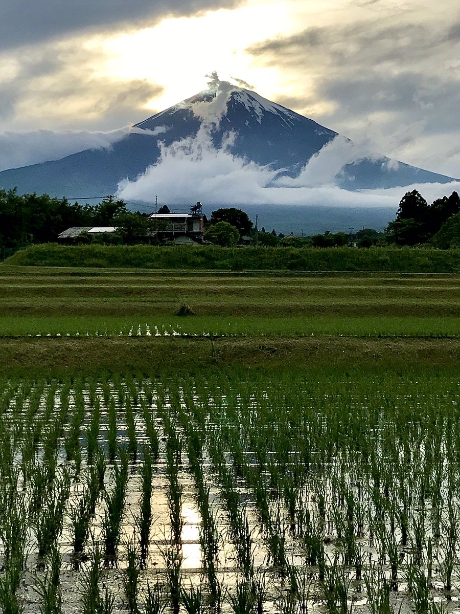 おつかれさまです 曇りがちでしたが富士山頂から太陽が沈んでいきました🗻 昇竜のように麓からあっという間に雲が昇っていく姿は、何か神秘的な感じがしました🐉😊 みなさんゆっくりお休み下さい〜🍀😌