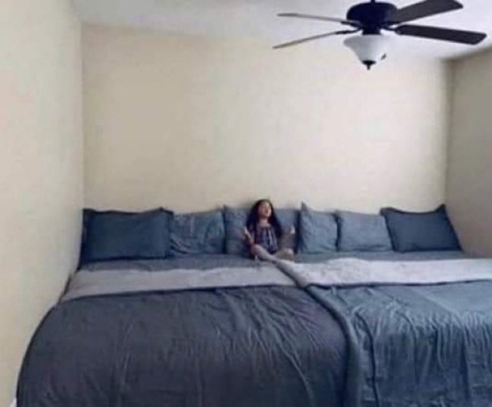 aialecs's tweet photo. la cama que necesito: https://t.co/cvgBYFOS6c