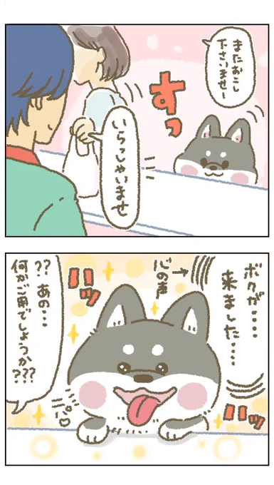笑顔顔に癒されちゃって困ります～ #もちもち #お客様こまります #おきゃこま #コンビニ #アルバイト #漫画 #イラスト #動物 #黒柴 #笑顔