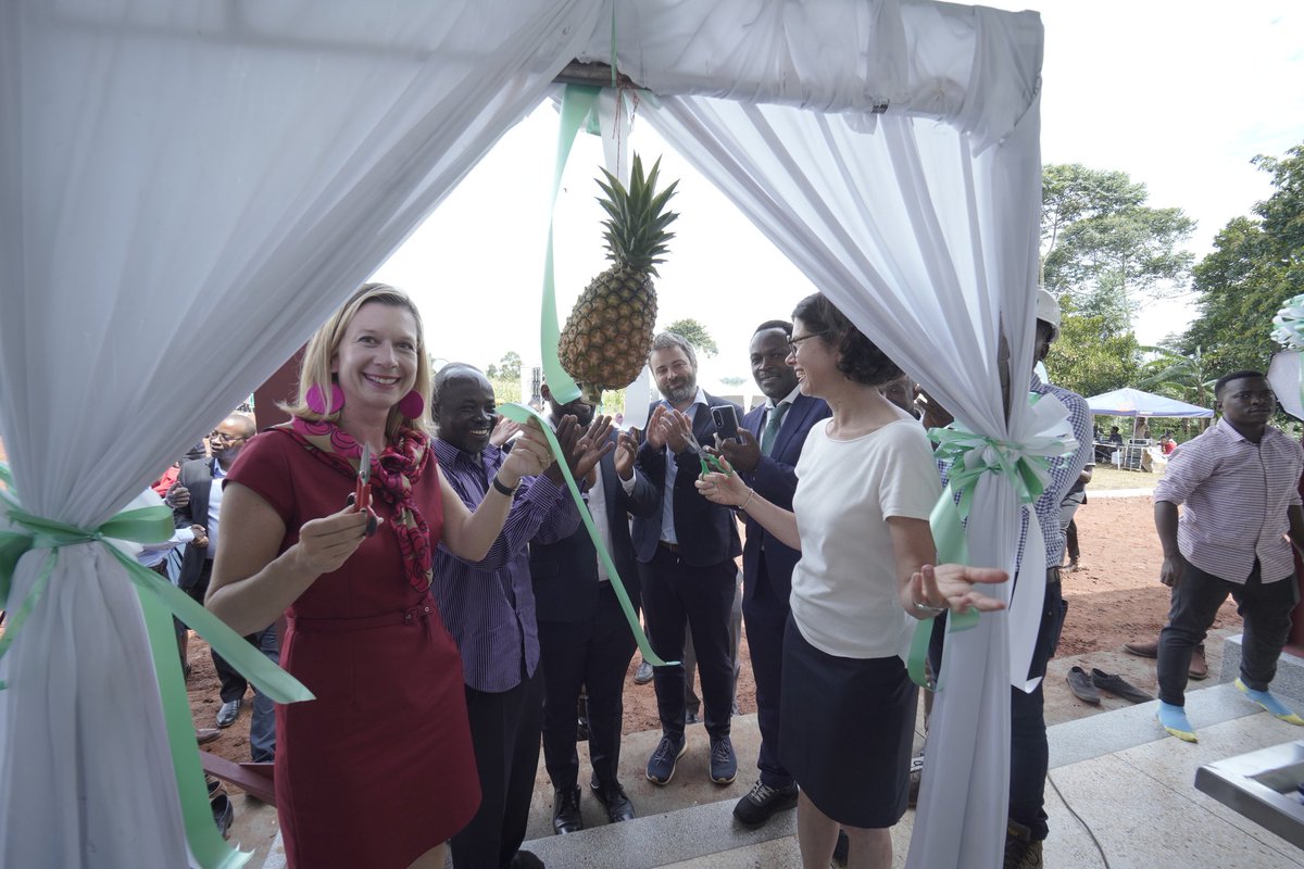 AITFoundation's tweet photo. BIG REVEAL! 

Our #CaptiveSolarFoodConservation Facility has been officially unveiled 

We're excited for the incredible journey ahead as we combine food conservation and clean energy to create a brighter future for Smallholder farmers
#OfficialLaunch #sustainableagriculture https://t.co/60CGIFCzVU