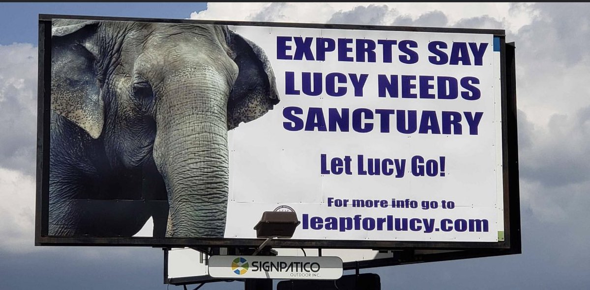 💜Special thanks to Dina Khan and Louise Lou. Without the 2 of you this would not have been possible! 

💜 Leap😇
We are able to keep this billboard up for the entire summer and we are told that there will be 14,169,000 views during this time
#LetLucyGo
 @edmontonjournal @CBCNews