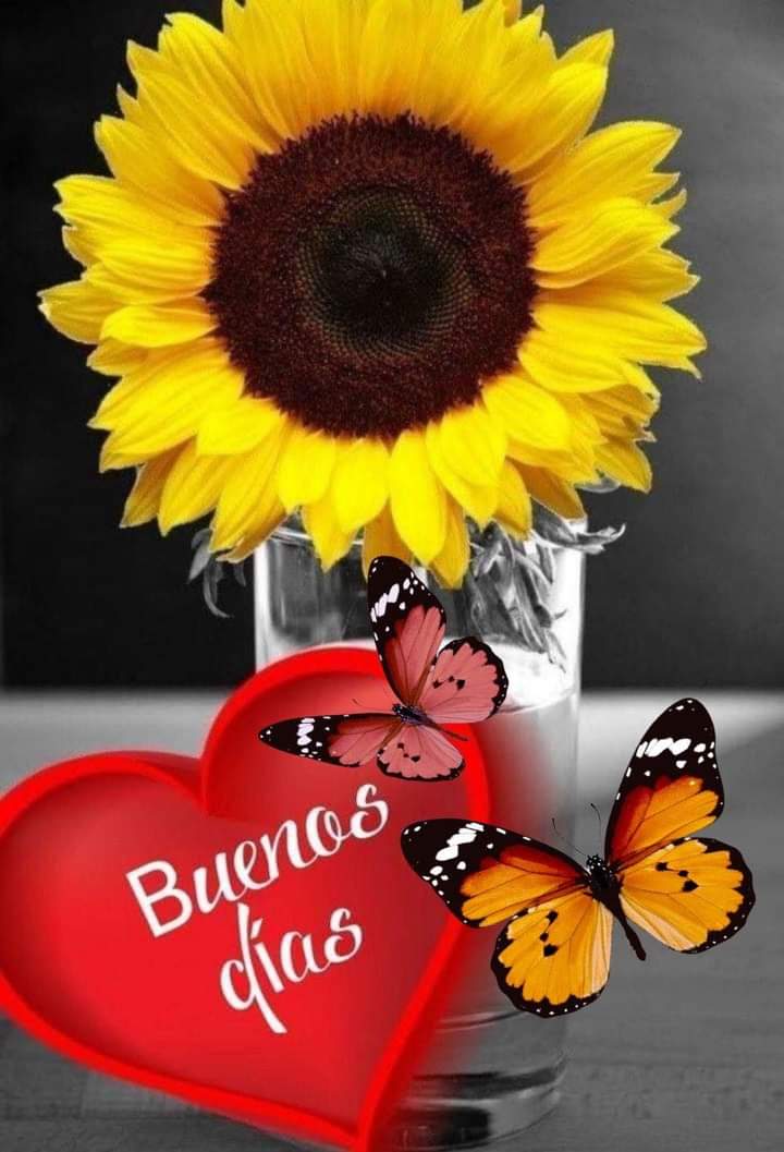 Buenos días 🇨🇺 y el 🌍 hoy es un día de alegría, por nuestr<a href="/s/">『S』</a> niñ@s y tod@s los del mundo. Saquémosles sus mejores sonrisas. Un detalle y allá vamos!