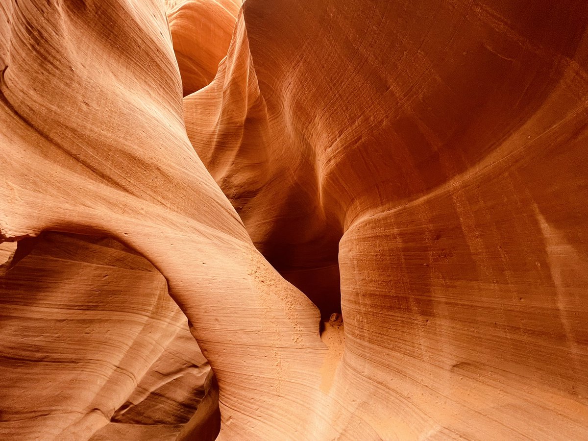 J. Wilson tweet media