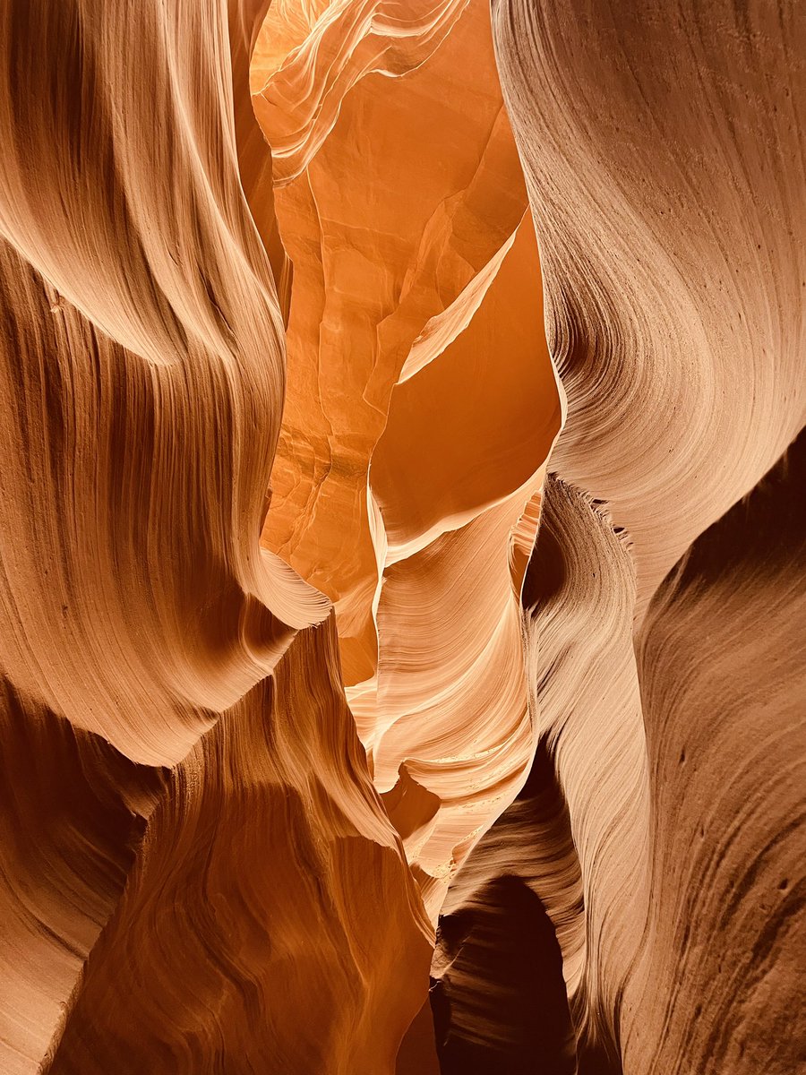 J. Wilson tweet media