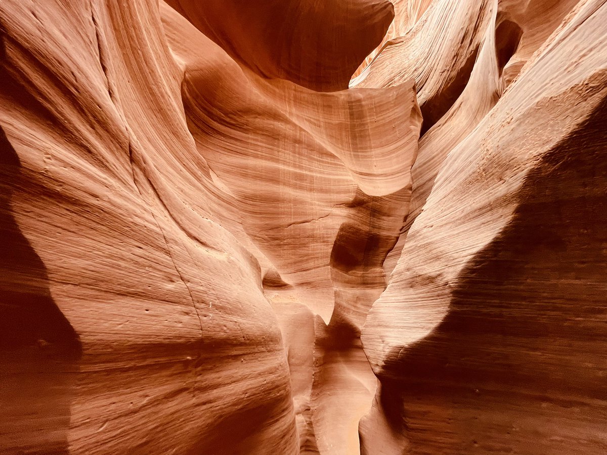 J. Wilson tweet media