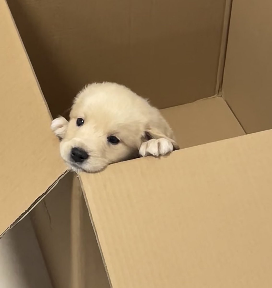 dogonboo's tweet image. อย่าเอาปายทิ้งเลยนะ