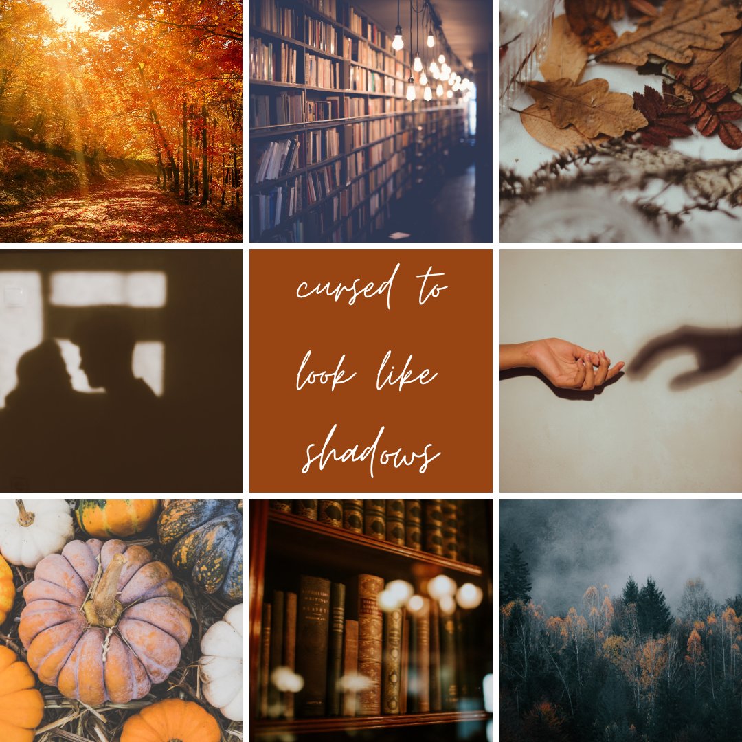 Alexis Collins tweet media