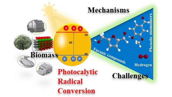 angew_chem's tweet image. Radical-Mediated Photocatalysis for Lignocellulosic #BiomassConversion into Value-Added Chemicals and Hydrogen: Facts, Opportunities and Challenges (Sandra Contreras and co-workers) #AngewandteReview #openaccess @cienciaURV onlinelibrary.wiley.com/doi/10.1002/an…