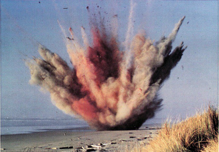 markeology's tweet image. BLUBBERSTORM

In 1970, a whale carcass was causing an awful stink on a beach in Oregon. 

They attempted to remove it with dynamite. 

They used too much.

#KidLitPit #PB #NF
