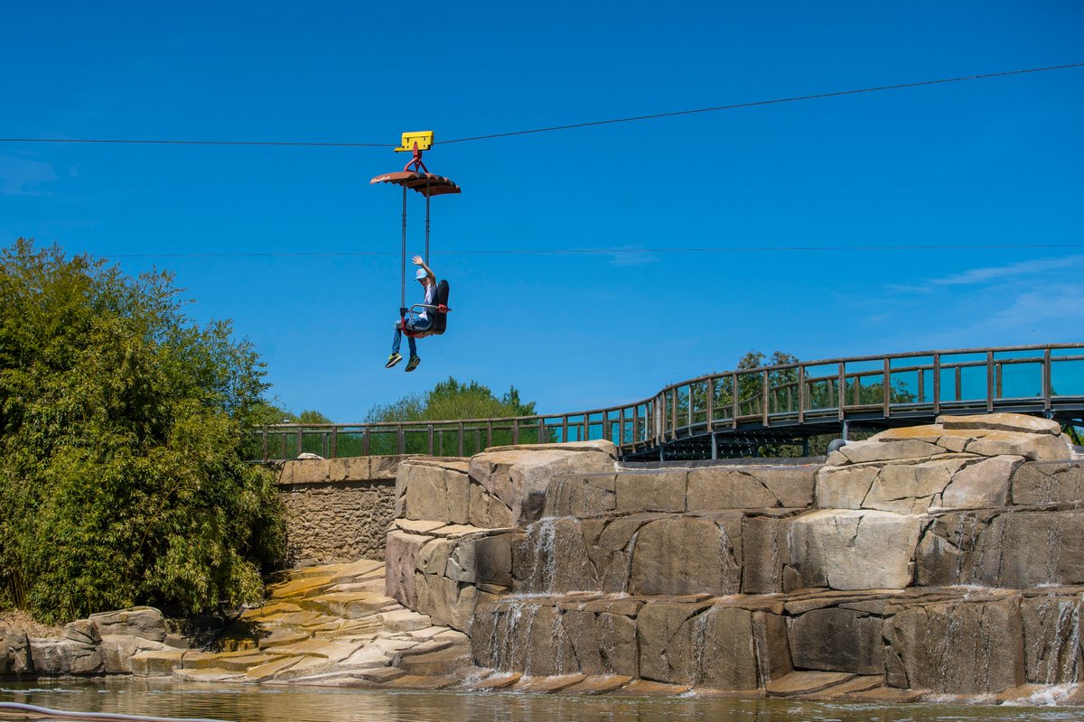 sendaviva's tweet photo. ¡Ya llega el fin de semana! Lánzate a la aventura en #Sendaviva 🔝🔝🔝
👉https://t.co/Asm2ZlRbgN
#EntradasOnLine #GranTirolina #Adrenalina #EnFamilia https://t.co/rE8ubsyj3R
