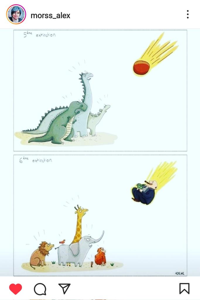 IrishRainforest's tweet photo. Great cartoon on the present, sixth, mass extinction event, courtesy of @morss_alex on Instagram. https://t.co/qQMzgn8ETu