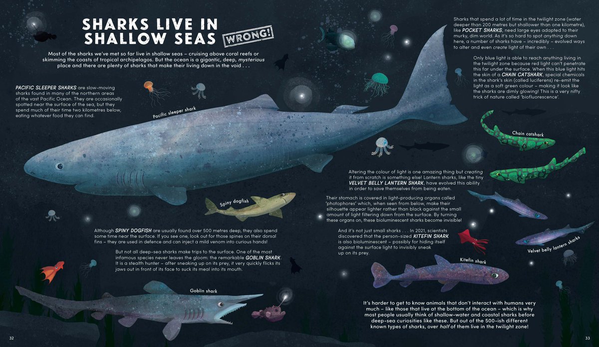 L_Fairgrieve's tweet photo. Happy book birthday to ‘Everything You Know About Sharks is Wrong!’ 🎉

@LSmonster and @gavillustrator thank you for making this the most beautiful and fascinating book about #sharks out there. You are a dream team! Big thanks also to Tina Garcia for her brilliant design. 🦈 https://t.co/eOt4l4vBR9