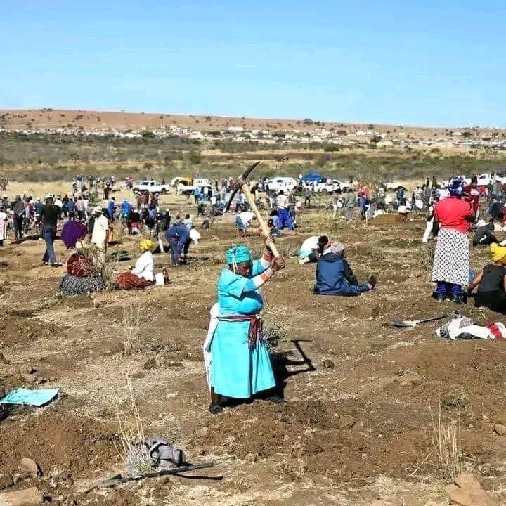 ZANewsFlash's tweet photo. We once had people of Ladysmith and their fake diamond. https://t.co/0rERmn28mr