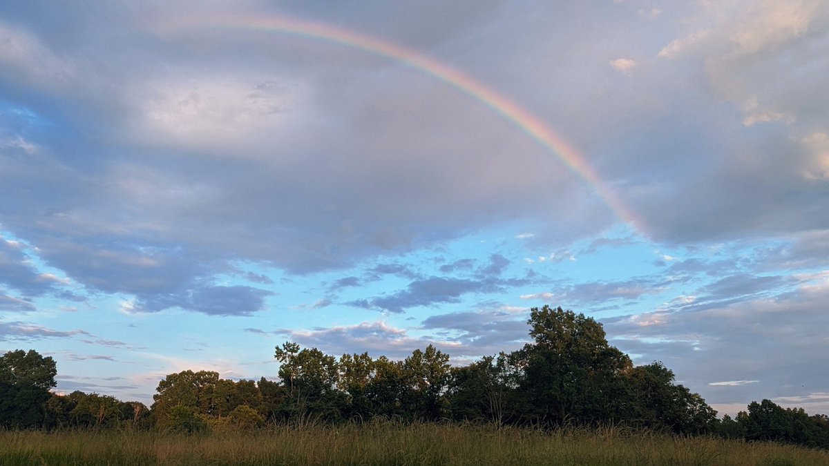 RunMossy's tweet photo. Genesis 9:14,15
Whenever I bring clouds over the earth and the rainbow appears in the clouds,
I will remember my covenant between me and you and all living creatures of every kind. Never again will the waters become a flood to destroy all life. https://t.co/LrpWraI1Ls