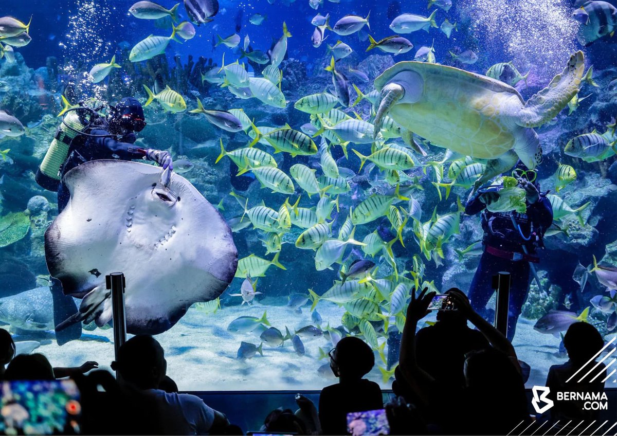 BERNAMA on Twitter "KualaLumpur Para pengunjung teruja melihat