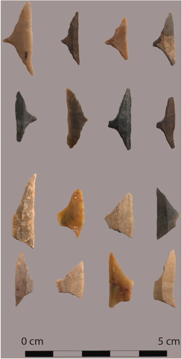 MesoMisc's tweet photo. New open access #article, 'The geometric #microliths of cueva de la cocina and their significance in the #mesolithic of Eastern #Iberia: A morphometric study', by Cortell-Nicolau et al.
Available from: https://t.co/Lgtf5lFJda https://t.co/esACEXquu5