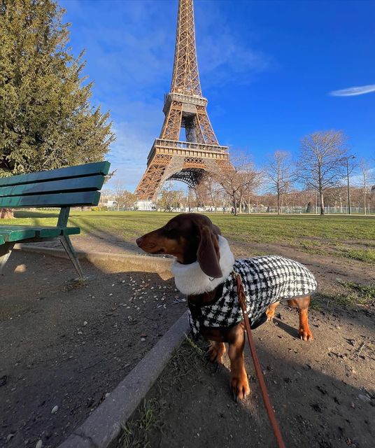 I went to a new place😏