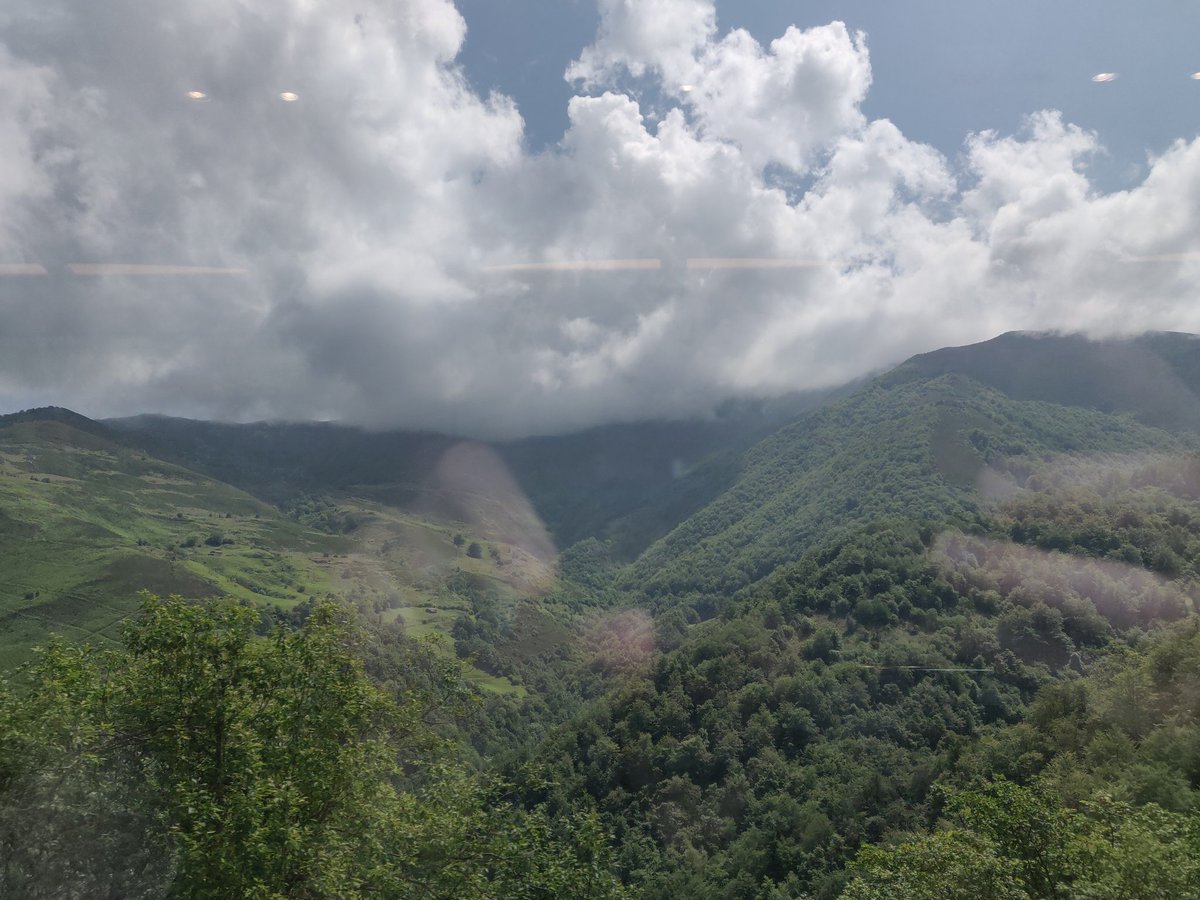 Toño de la Torre tweet media