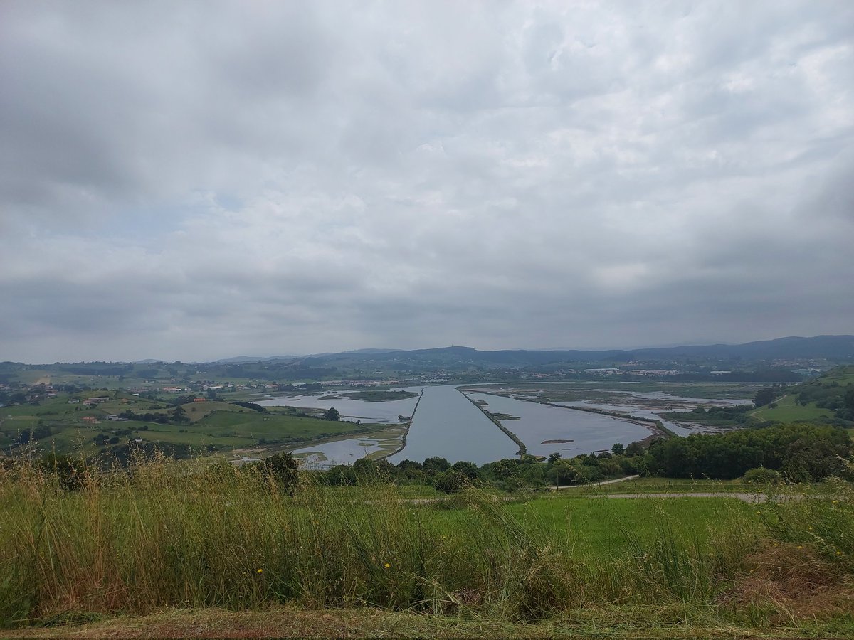 Animalistas Euskadi tweet media