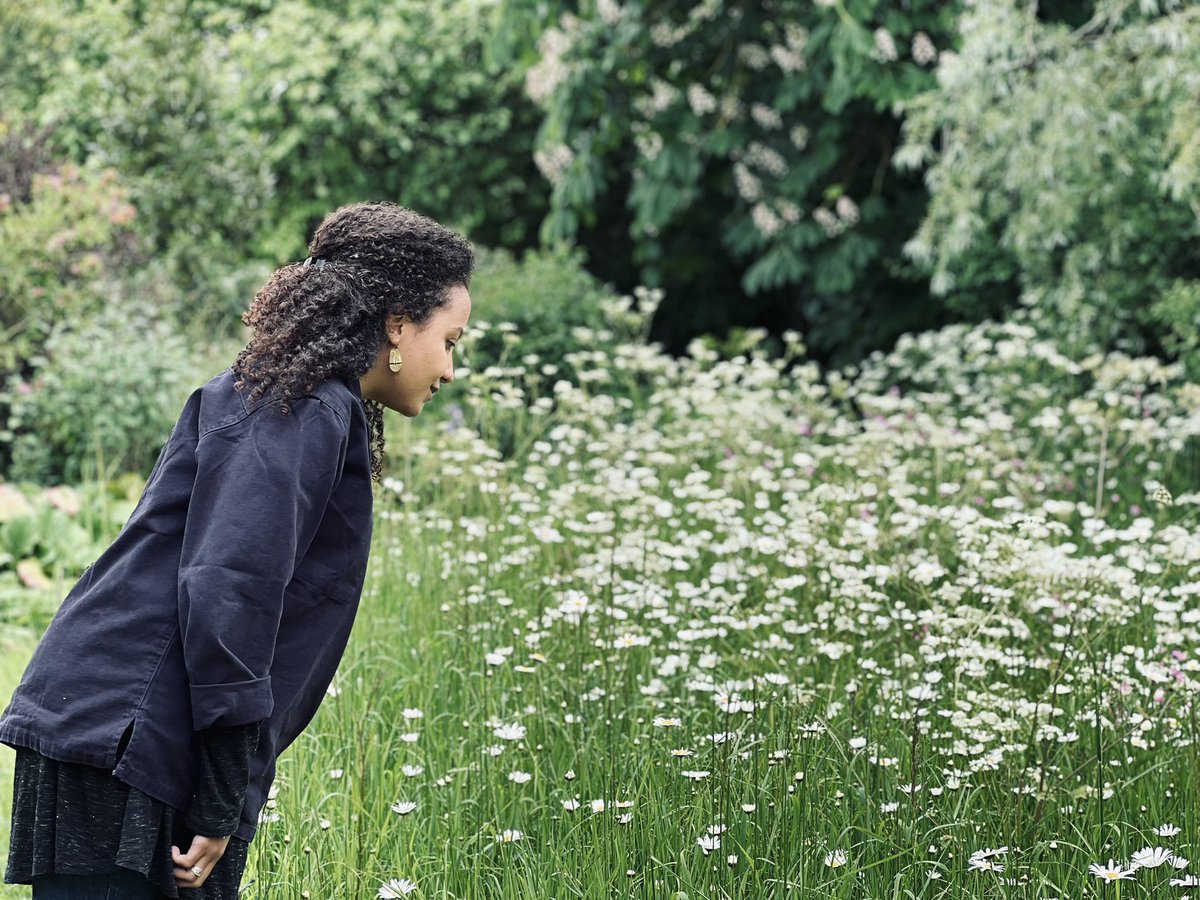 Day 1 of #30DaysWild! @jameydraws is enjoying the stunning oxeye daisies in the wild garden at  <a href="/suffolkwildlife/">SuffolkWildlifeTrust</a>
