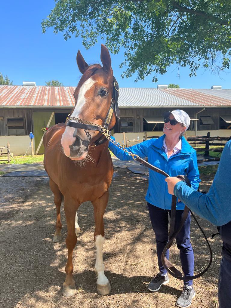 AshwellStable's tweet photo. So delighted for our lovely owner #MichaelASmith and his two rounds around @Devon1896!!
Nice visit to the farm on Tuesday following his classes!
@LeslieYoung1 @jandjpotterltd @PotterGRacing @HamishMacauley
#THEHERONEXTDOOR #WRESTLINGWITHRAE #HOFFMAN #PROJECTTWO ππ€ππ€ https://t.co/X6J8cuKoEo
