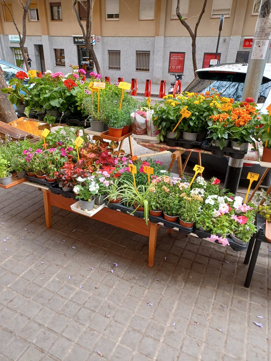 🚹82
Avisa per febre i malestar
Viu sol
Ell:"Tinc febre i tos"
Jo:"Caldria fer aquest tractament amb💊"
Ell:"Dra,no tinc ningú q pugui portar-me les pero no vull anar a 🏥"
Truco☎️farmacia habitual➡️
Li portaran ells a casa

#AtencioPrimaria
#coordinació
#dedomis
#estemvisitant