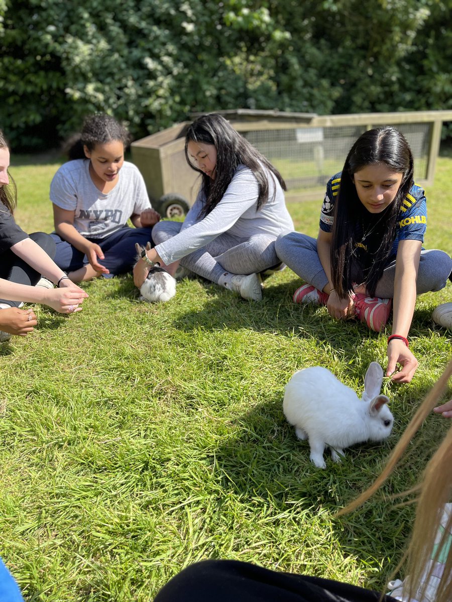 BSGD Year 7 Normandy Trip 2023 tweet media