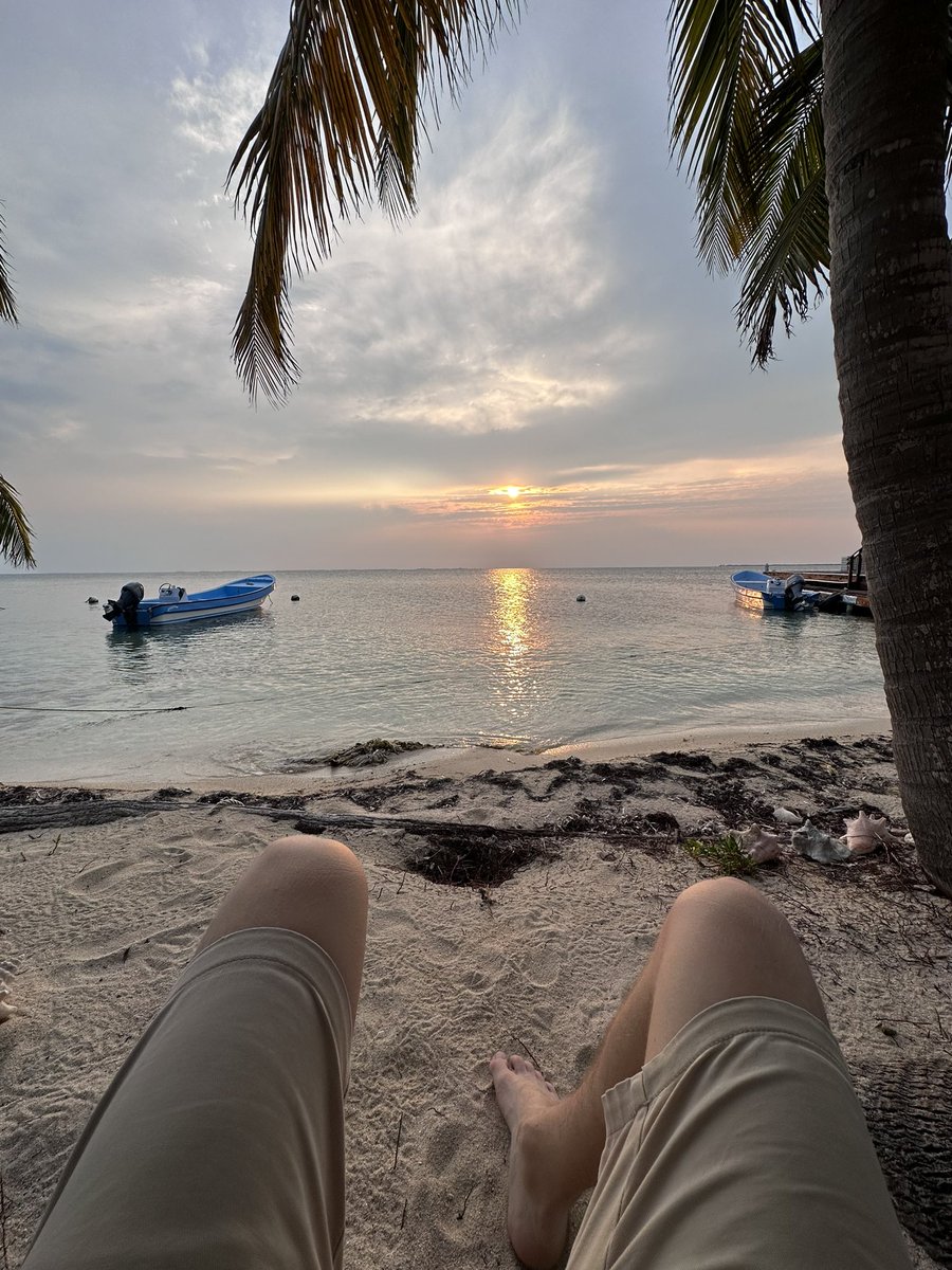 Dr. Christopher Hemingson (@thehemi65) on Twitter photo We arrived yesterday to Carrie Bow Cay, Belize - what a spot. Super excited to be back in the Caribbean where it all started. We will be collecting fish for <a href="/CipollaKyra/">Kyra Jean Cipolla</a> and <a href="/marine_marconi/">Christina Marconi</a>’s PhDs. Looking forward to seeing @gobysimon and <a href="/jordanmcasey/">Dr Jordan Casey</a> in the water! We arrived yesterday to Carrie Bow Cay, Belize - what a spot. Super excited to be back in the Caribbean where it all started. We will be collecting fish for <a href="/CipollaKyra/">Kyra Jean Cipolla</a> and <a href="/marine_marconi/">Christina Marconi</a>’s PhDs. Looking forward to seeing @gobysimon and <a href="/jordanmcasey/">Dr Jordan Casey</a> in the water!