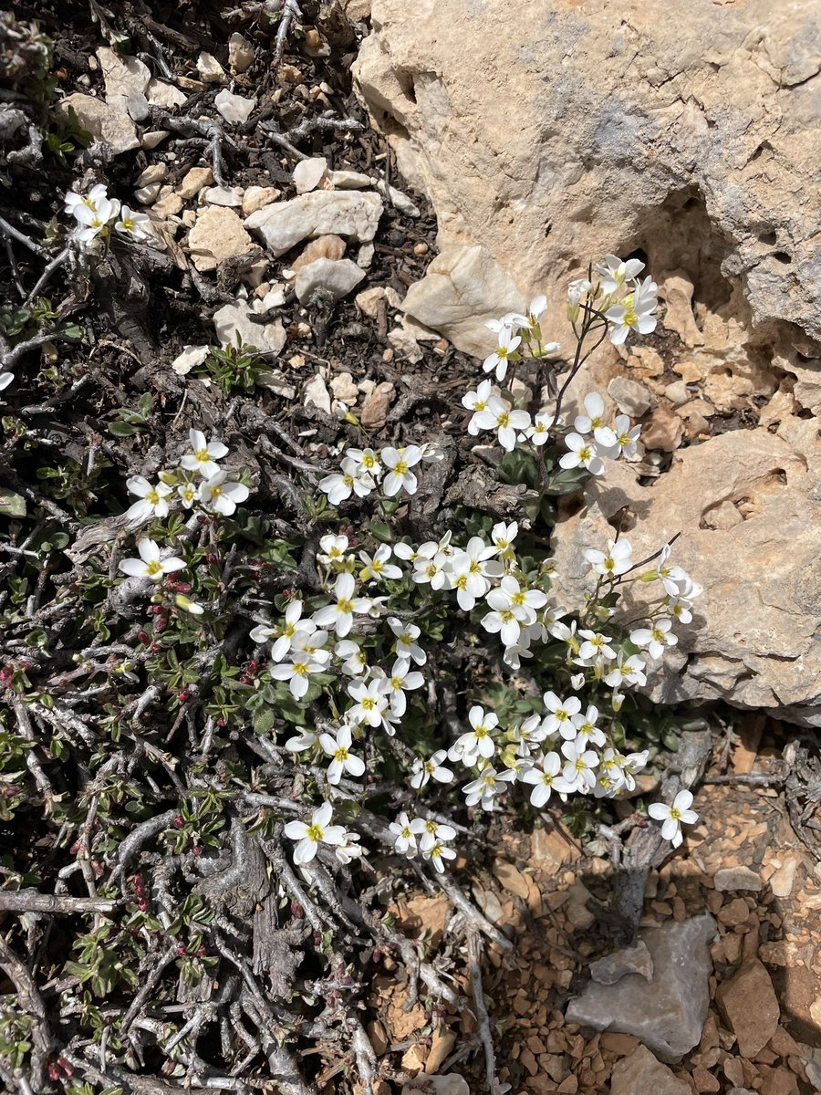 Patrick Gale tweet media