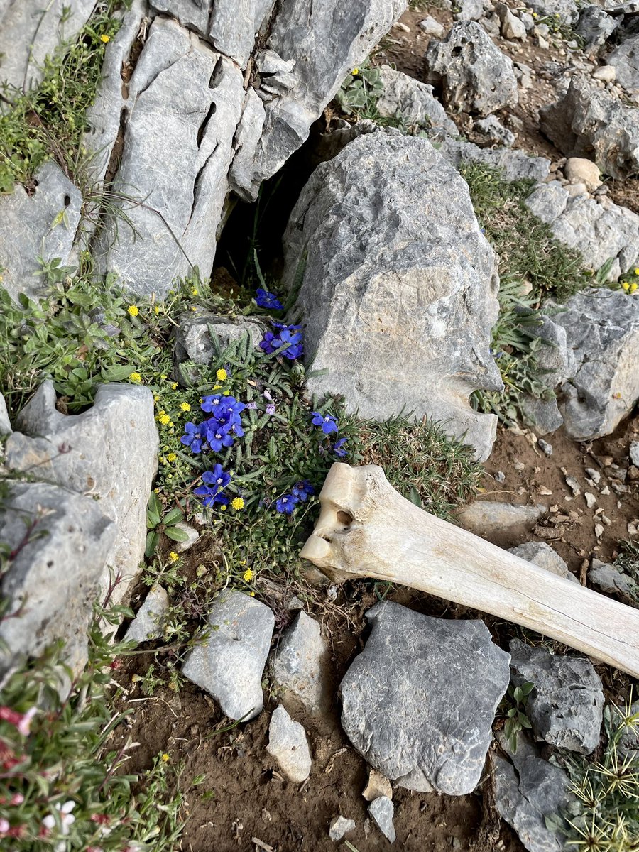 Patrick Gale tweet media