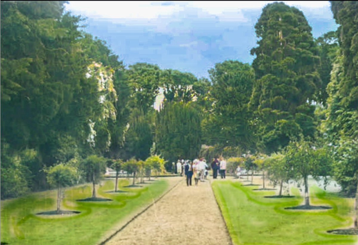 KenureP's tweet photo. Bit of colour added to this image of Walled Gardens,At the end is native Irish Yew which Kenure &amp; Rush got their names and the walk is flanked by some beautiful standard roses. This walk went from one end of the gardens to the other, passing through 3 hand built brick archways https://t.co/V0ww3sIycg