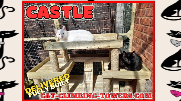 An Englishman Home Is His Castle, And It Is Not Different For A Well Loved Cat.

available to order now !

#catframes #CatsOfTwitter #cats #cat #catenrichment #catquiz #catoftheday #cattoys #catsofinstagram #kittens #safecat #catenclosure #catmemes #catios  #advert