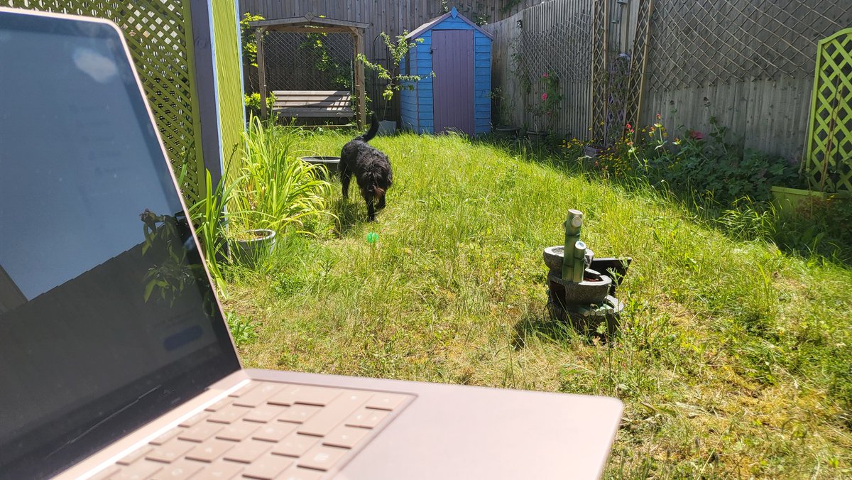 deepa_sena's tweet photo. Working from my garden today. Soaking up sunshine, sending emails and being very organised; all with a dog pottering about keeping me company. Some puppy love and vitamin D seems to go a long way in making a productive day! @UniRdg_Research @UniRdg_SAPD #ecologistlife #simplejoys https://t.co/MZlny52A0X