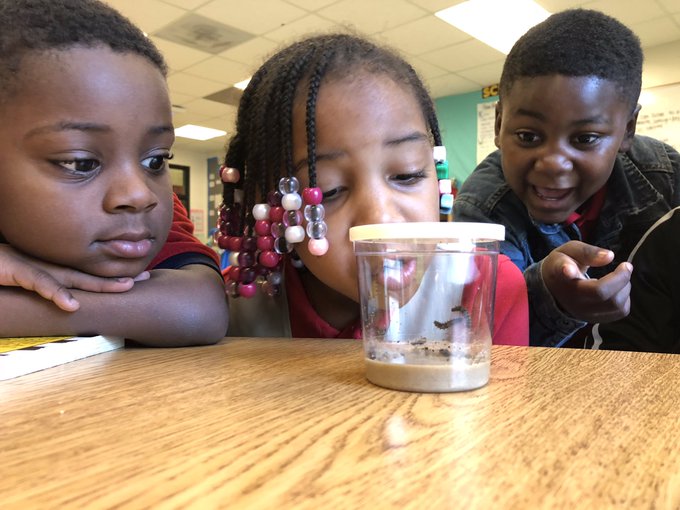 DCPS Cornerstones tweet media