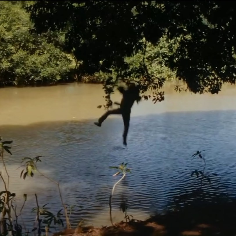 There won't be any Hovitos chasing you or a seaplane to swim to, but you can still channel your inner #IndianaJones as you use this rope swing to plunge into the Conestoga River north of Safe Harbor along Conestoga Boulevard. unchartedlancaster.com/2023/05/30/ind…