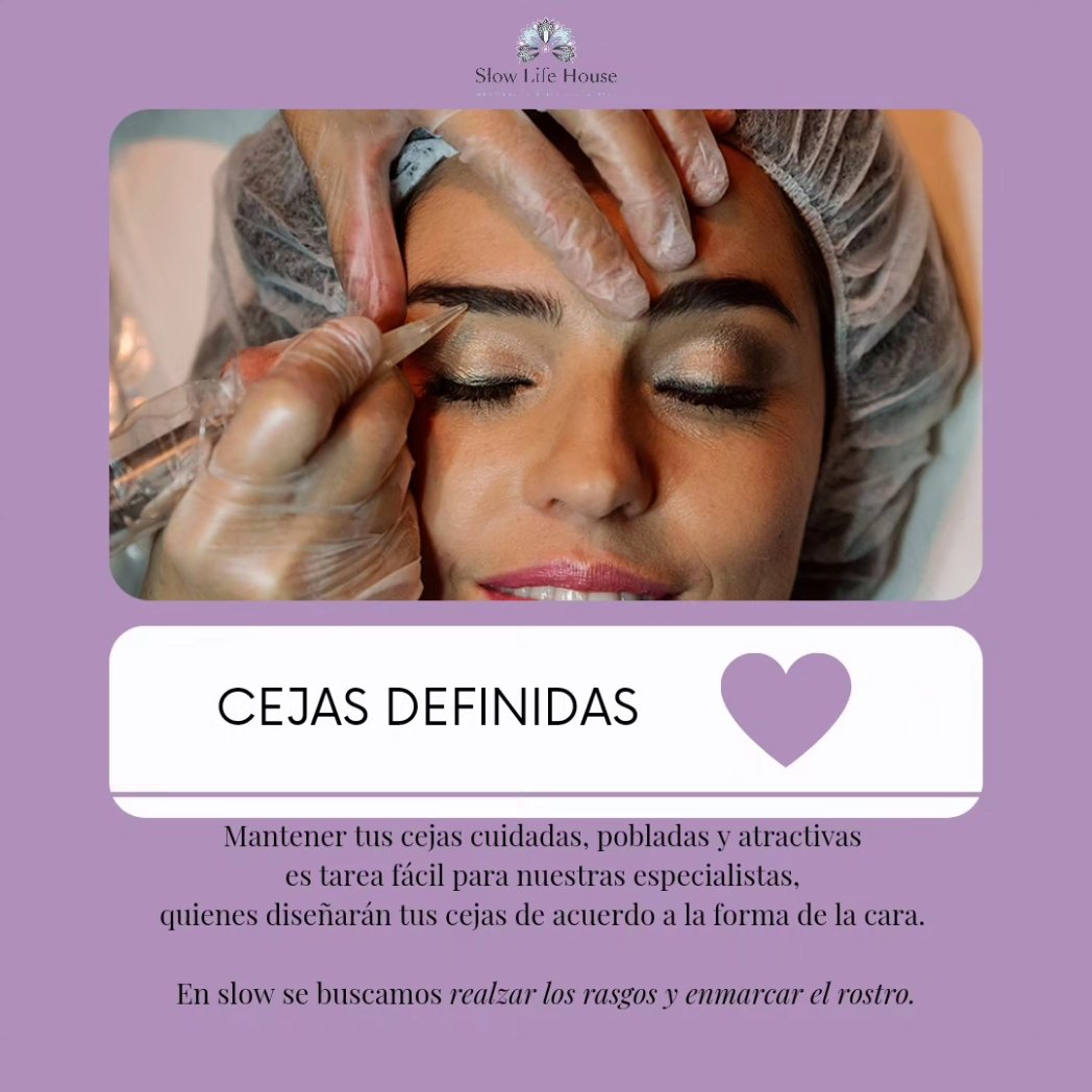 Slow Life House tweet media